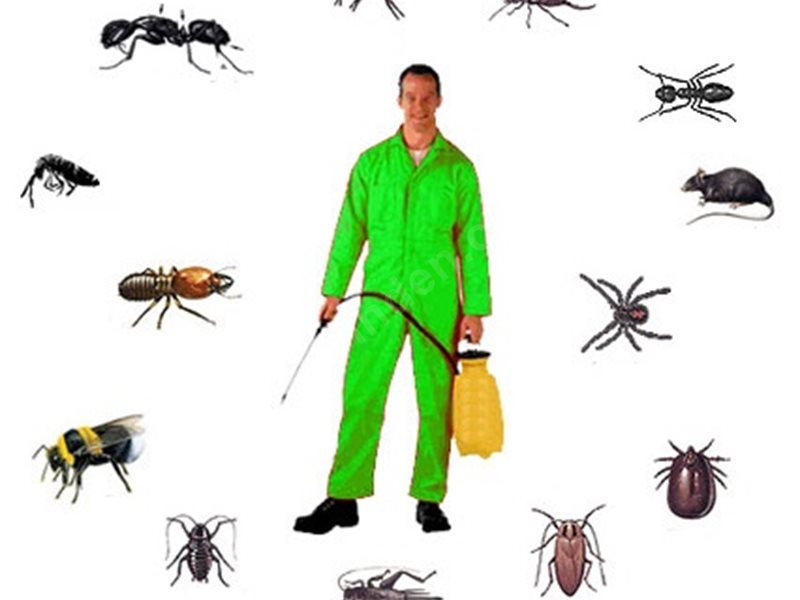 Çekerek Böcek İlaçlama